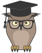Owl teacher