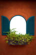 Window On Orange Wall