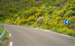 Road in spring