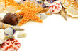 Colorful seashell corner border on a white background