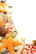 Colorful seashell corner border on a white background