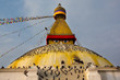 Boudhanath Stupa and birds