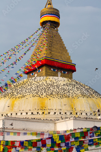 Photo: Boudhanath Stupa and birds Boudhanath Stupa and birds