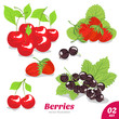 Set of berries, strawberry, cherry, black currant