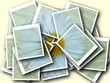 collage,Bellis perennis,daisy in front of colorful background