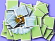 collage,Bellis perennis,daisy in front of colorful background