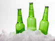 Beer Bottles In Snow