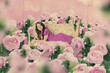 Foto: art vintage collage with beautiful woman, creative work art vintage collage with beautiful woman, creative work