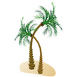 Lovely Palm Trees