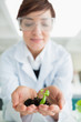 Woman holding a little plant with soil