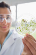 Student holding up petri dish