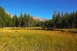 Foto: Calm autumn landscape Calm autumn landscape