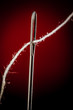 Needle with thread