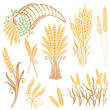 Vector: Getreide, Korn, Ähren, Kornfeld Getreide, Korn, Ähren, Kornfeld