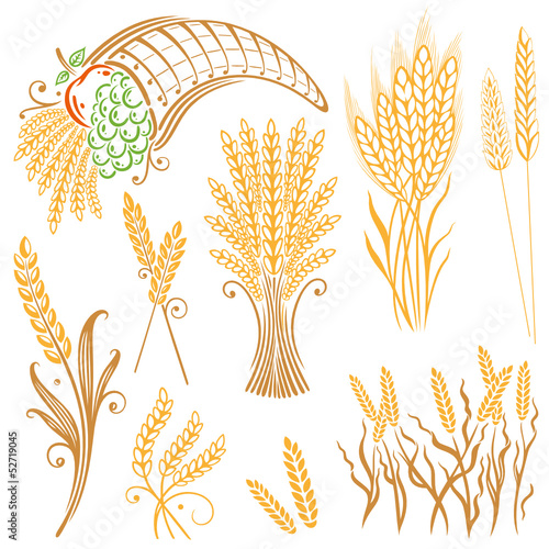 Vector: Getreide, Korn, Ähren, Kornfeld Getreide, Korn, Ähren, Kornfeld