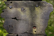Split wood and rusty nail background