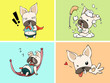 Dog Emotion