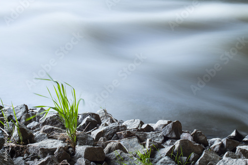 Photo: River on the white background River on the white background