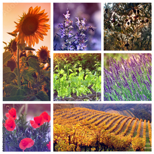 Photo: Colors of Provence, France Colors of Provence, France