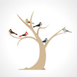 colorful birds in a tree