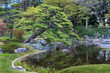 Japanese Garden Tokyo