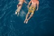 Swim away