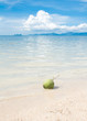 Photo: Green coconut on white beach sand Green coconut on white beach sand