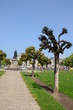 Schlossplatz Coburg