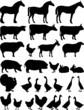 Silhouettes of farm animals