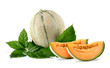 Melone retato