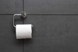 Toilettenpapier01