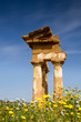 Temple of Castor and Pollux