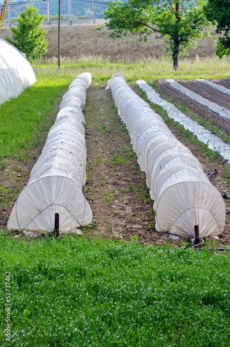 Photo: serre agricole serre agricole