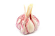 Head of garlic
