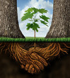 New Business Development