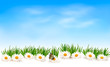 Nature Background With Grass A...