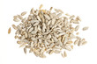 Sunflower seeds on white