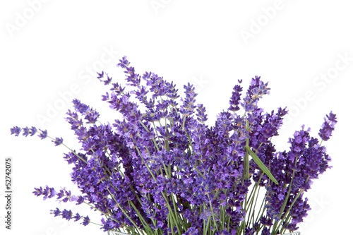 Photo: Bouquet of picked lavende Bouquet of picked lavende