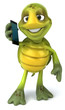 Fun turtle