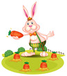 Vector: A rabbit at the farm with carrots A rabbit at the farm with carrots