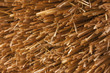 thatch