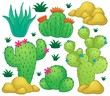 Cactus theme image 1