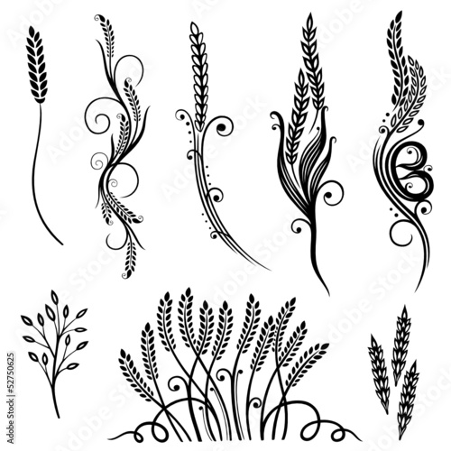 Vector: Getreide, Korn, Ähren, Kornfeld Getreide, Korn, Ähren, Kornfeld