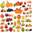 group of fruits