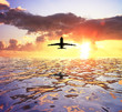 airplane and sea