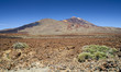 Teide Mountain andr rock formation. Tenerife. Volcano.