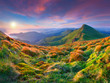 Photo: Colorful morning sunrise in the mountains. Colorful morning sunrise in the mountains.