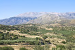 Berge und Landschaft mit Olivenbäumen auf Kreta