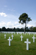 Normandy cemetery