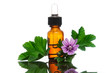 Malva Sylvestris with essential oil bottle